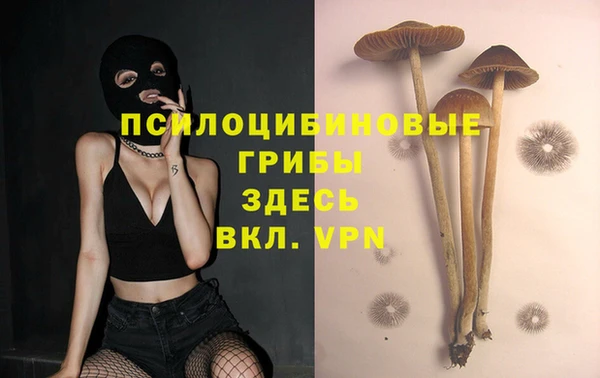 PSILOCYBIN Алексин