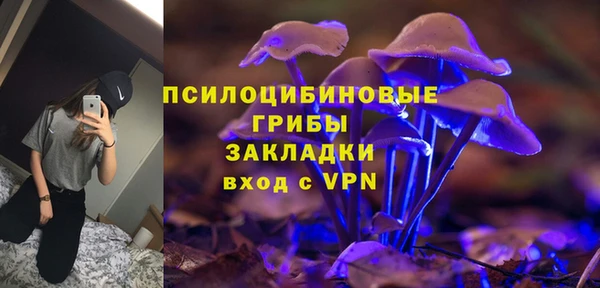 PSILOCYBIN Алексин