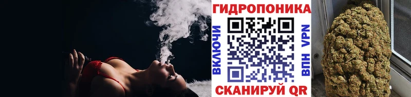 Бошки Шишки семена  Уяр 